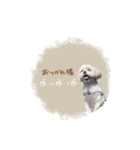 ♡yumiko様（個別スタンプ：13）