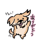 愛犬ちゃまめのずっと使える（個別スタンプ：22）