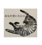 ひじき の生活（個別スタンプ：3）