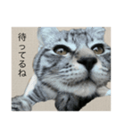 ひじき の生活（個別スタンプ：6）