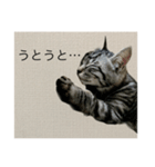ひじき の生活（個別スタンプ：14）