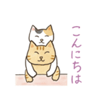 にゃんかわいい三毛猫（個別スタンプ：7）