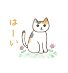 にゃんかわいい三毛猫（個別スタンプ：9）