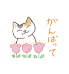 にゃんかわいい三毛猫（個別スタンプ：20）