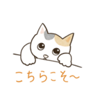 にゃんかわいい三毛猫（個別スタンプ：22）