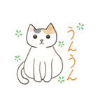 にゃんかわいい三毛猫（個別スタンプ：31）