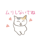 にゃんかわいい三毛猫（個別スタンプ：34）