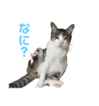 ひーたんさん（個別スタンプ：4）