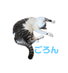 ひーたんさん（個別スタンプ：5）
