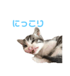 ひーたんさん（個別スタンプ：7）