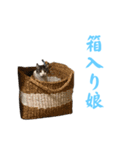 ひーたんさん（個別スタンプ：9）