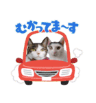 きらべるのスタンプ（個別スタンプ：10）