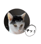 きらべるのスタンプ（個別スタンプ：27）
