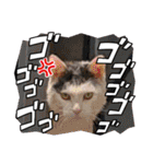 きらべるのスタンプ（個別スタンプ：28）