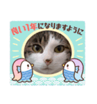 きらべるのスタンプ（個別スタンプ：33）