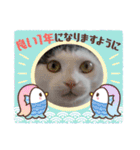 きらべるのスタンプ（個別スタンプ：34）