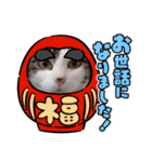 きらべるのスタンプ（個別スタンプ：35）