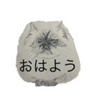 Japanese8（個別スタンプ：2）