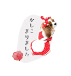 キャバリアだらけのスタンプ（個別スタンプ：38）