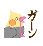 やる気の出ないオカメインコ（個別スタンプ：16）