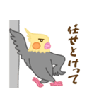 やる気の出ないオカメインコ（個別スタンプ：23）