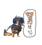 ダックス のだっちゃんのスタンプ（個別スタンプ：26）