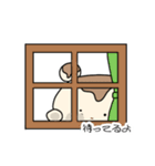 もちっこぐま3（個別スタンプ：5）