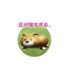 Happy 柴犬LINEスタンプ（個別スタンプ：15）