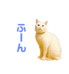 きらりさん（個別スタンプ：2）
