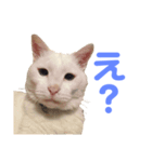 きらりさん（個別スタンプ：3）