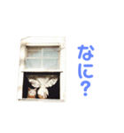 きらりさん（個別スタンプ：8）