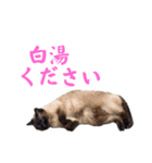 さくらおばあさん（個別スタンプ：1）
