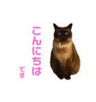 さくらおばあさん（個別スタンプ：2）