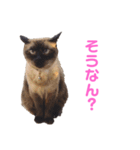 さくらおばあさん（個別スタンプ：5）
