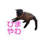 さくらおばあさん（個別スタンプ：9）