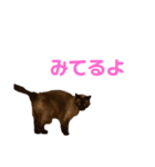 さくらおばあさん（個別スタンプ：11）