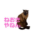 さくらおばあさん（個別スタンプ：12）