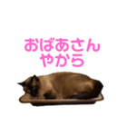 さくらおばあさん（個別スタンプ：14）