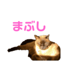 さくらおばあさん（個別スタンプ：16）
