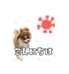 スクールの仲間たち4（個別スタンプ：1）