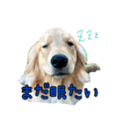 スクールの仲間たち4（個別スタンプ：2）