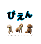 スクールの仲間たち4（個別スタンプ：5）