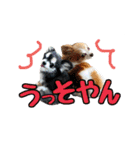 スクールの仲間たち4（個別スタンプ：7）