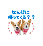 スクールの仲間たち4（個別スタンプ：10）