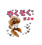 スクールの仲間たち4（個別スタンプ：11）