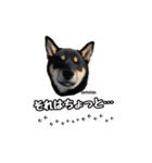 スクールの仲間たち4（個別スタンプ：13）