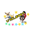 スクールの仲間たち4（個別スタンプ：14）