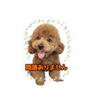スクールの仲間たち4（個別スタンプ：15）