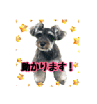 スクールの仲間たち4（個別スタンプ：18）