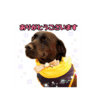 スクールの仲間たち4（個別スタンプ：21）